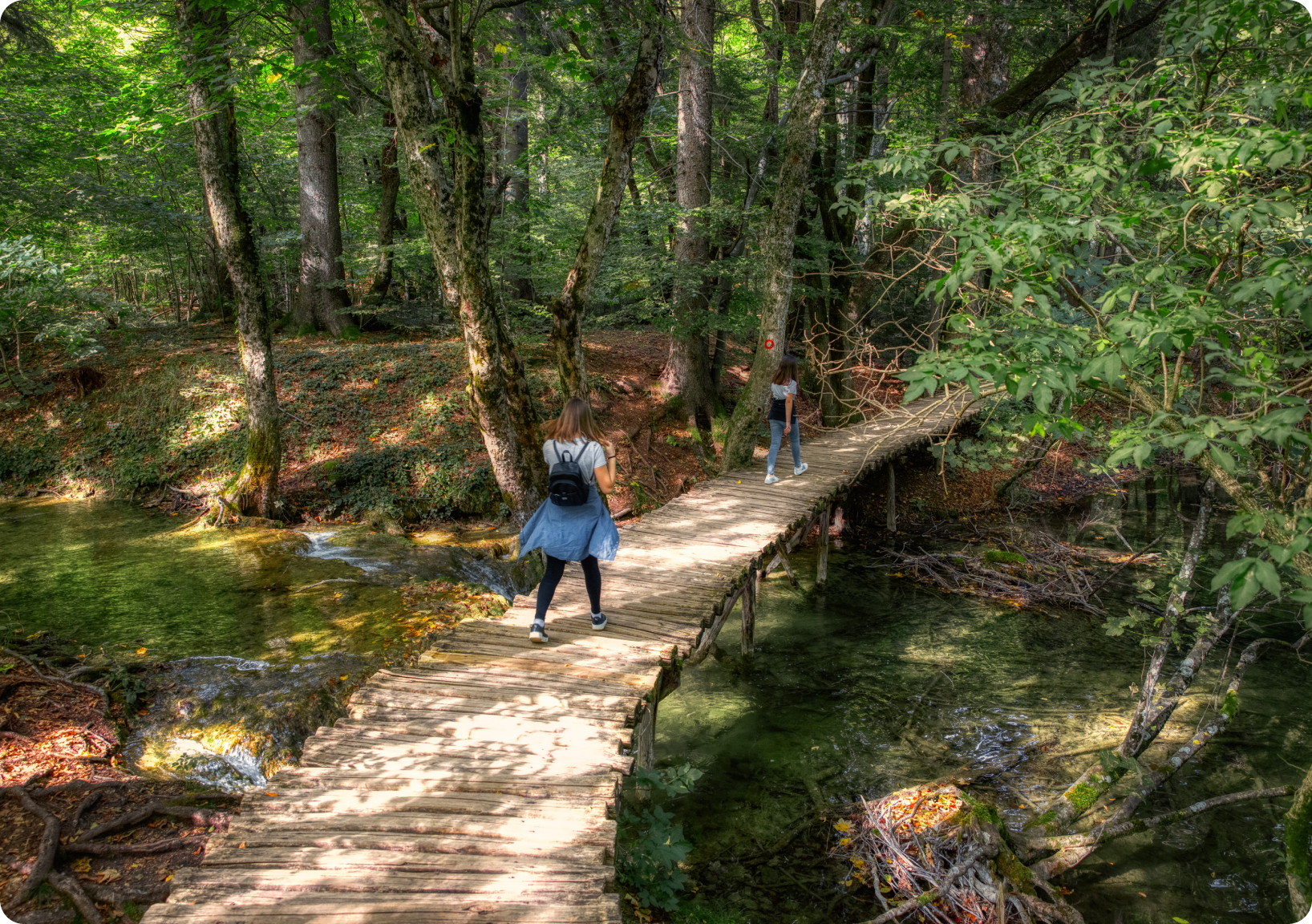 Čorkova uvala – prašuma u srcu Europe